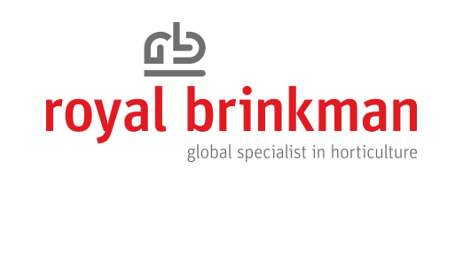 Royal Brinkman