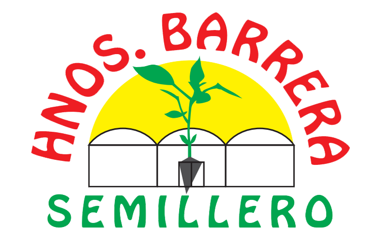 Semillero Hermanos Barrera