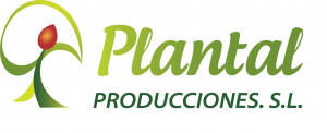 Plantal Producciones SL