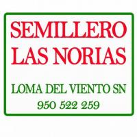 Semillero Las Norias