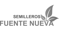 Semillero Fuentenueva SAT