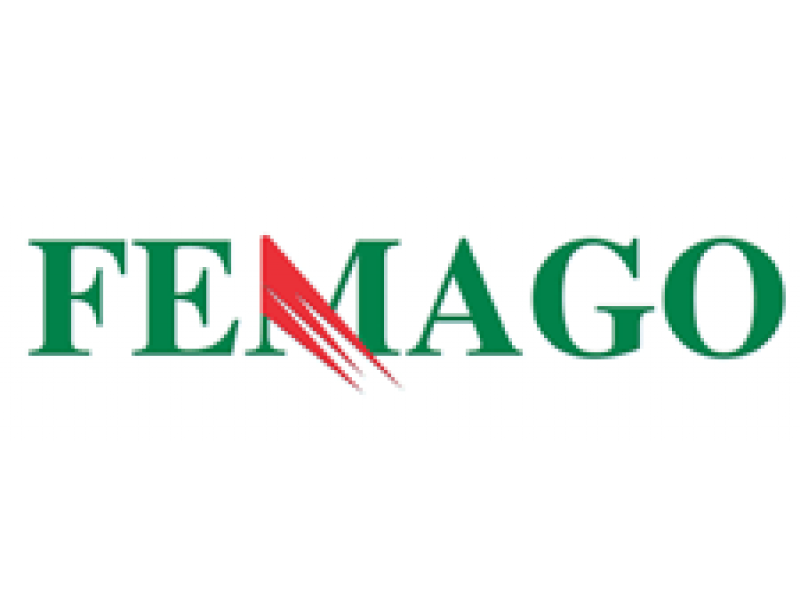 E.H. Femago SAT