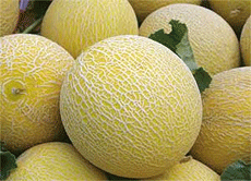 1655