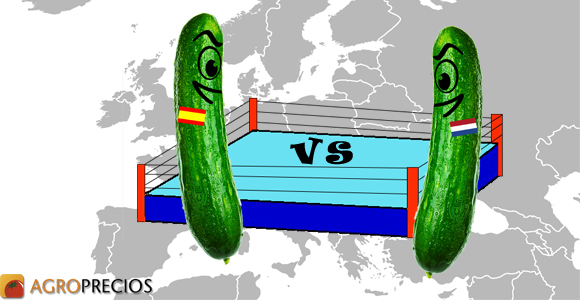 3192