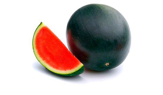 3231