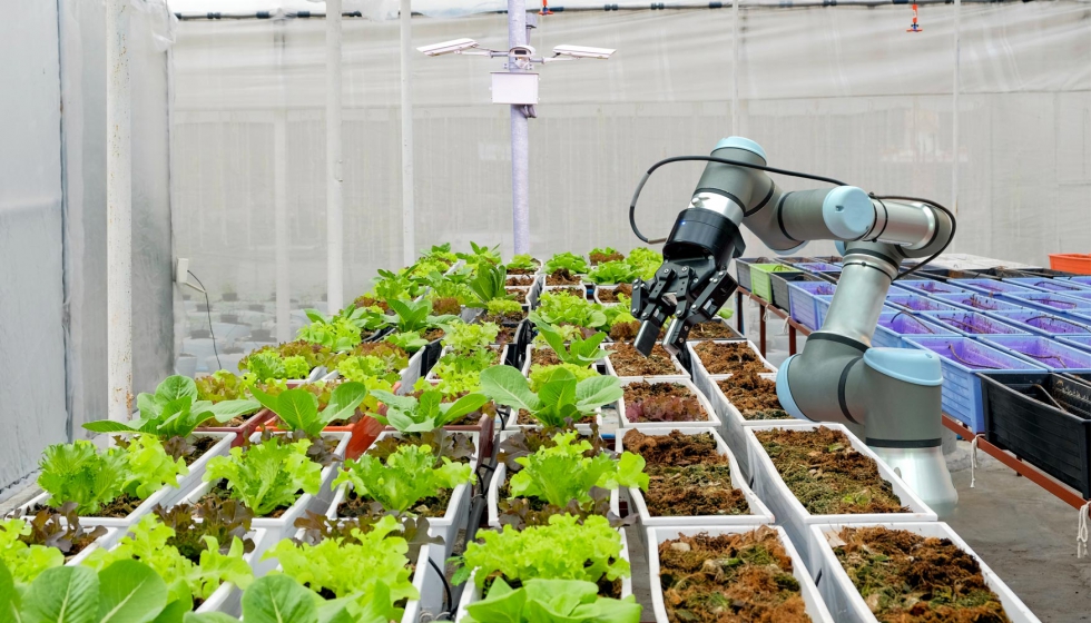 Espaa se consolida como el mayor productor ecolgico por superficie en la UE