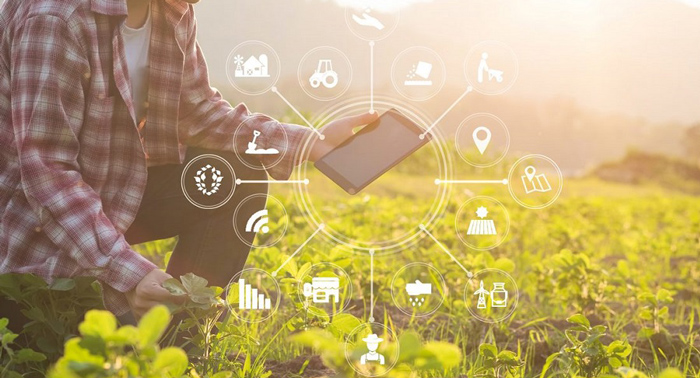 Espaa se consolida como el mayor productor ecolgico por superficie en la UE