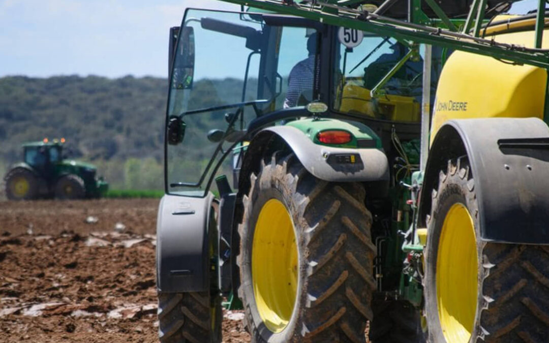 Los ensayos del fertilizante Agromaster en maíz muestran mayor producción y rentabilidad