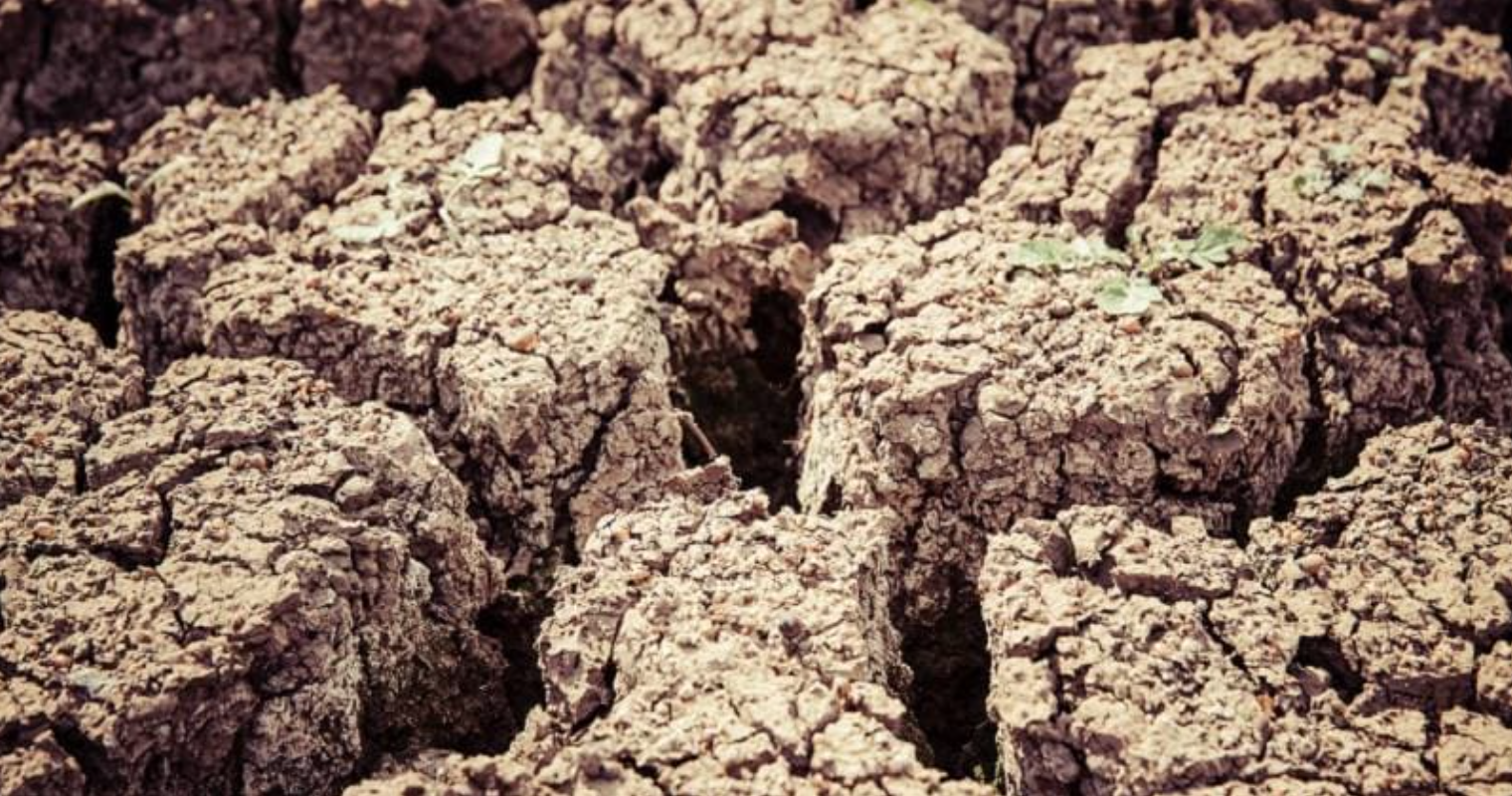 La sequía podría provocar unas pérdidas de más de 8.000 millones en el ...