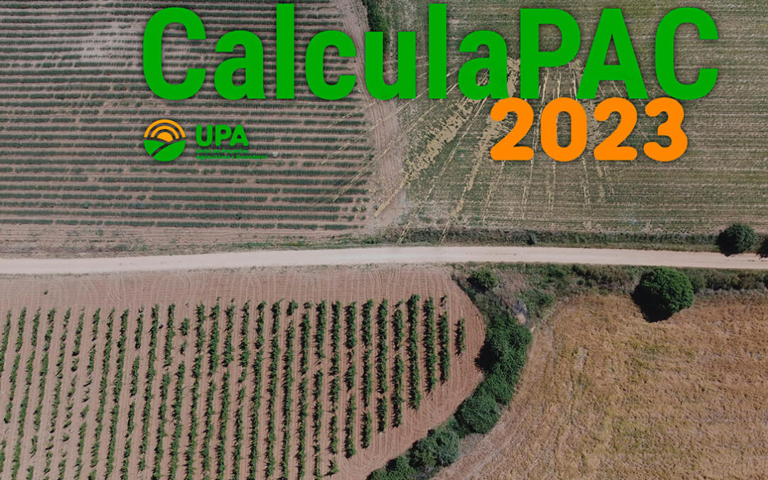 4818