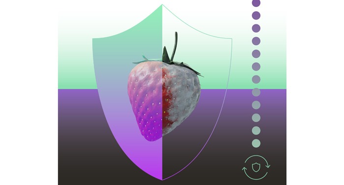 Probelte presenta Botrybel, el biofungicida foliar con registro europeo width=