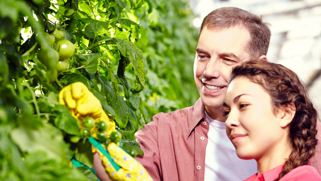 Cultiva, agilizacin del programa para jvenes