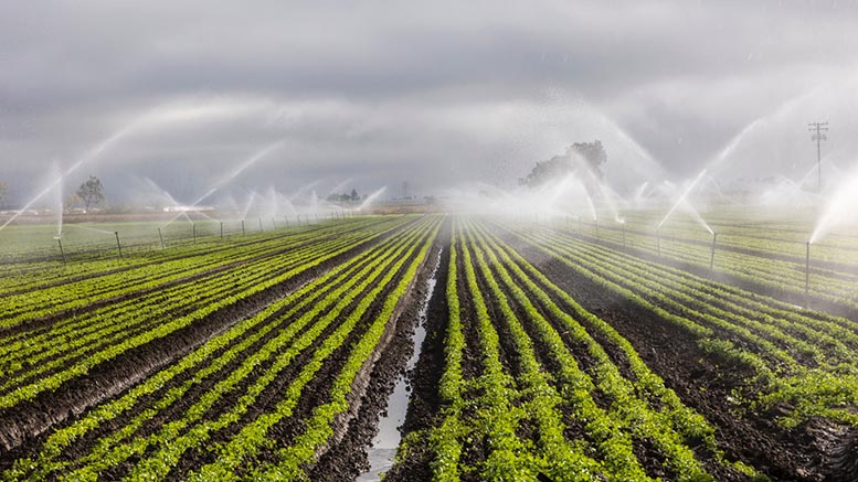 Nuevo modelo de riego predice con exactitud la demanda de agua agrcola width=