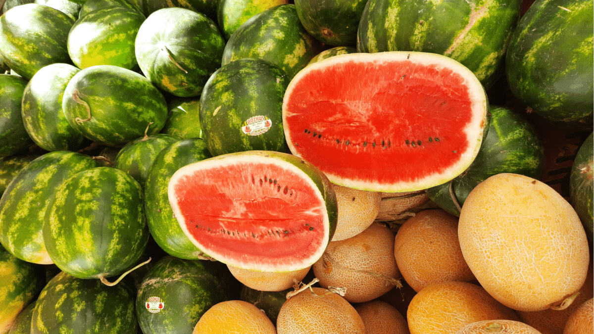 Exigen mayores inspecciones para sandas y melones importados de terceros pases