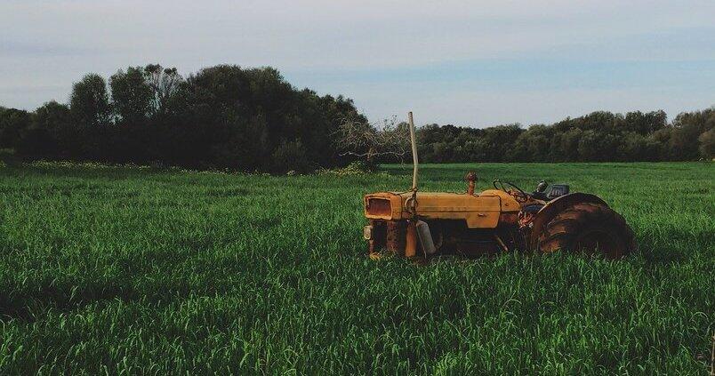 El Gobierno excluye a gran parte del campo andaluz en la rebaja fiscal agraria
