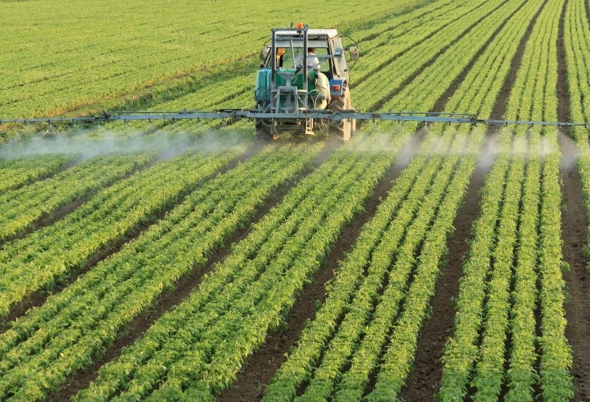 El Gobierno aprueba el convenio de seguros agrarios 2025 por 315 millones