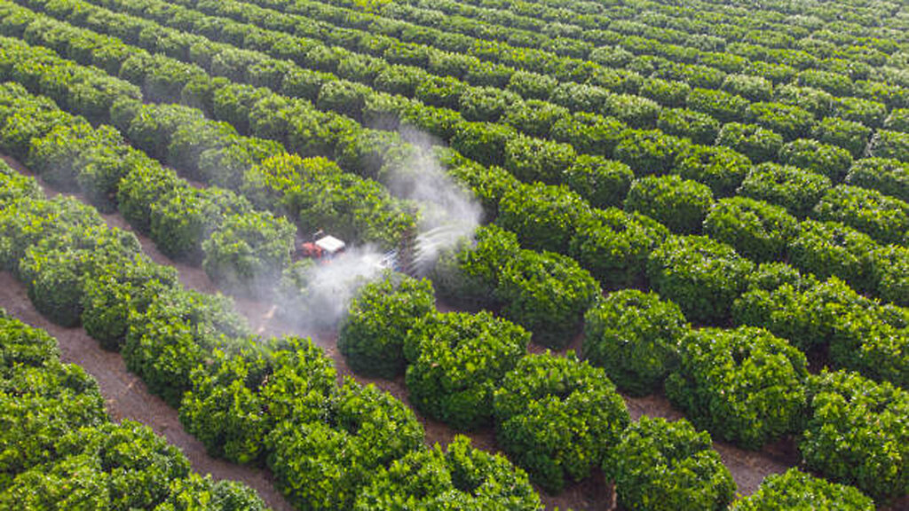 Crean un sistema de liberacin controlada para fertilizantes sin impacto ambiental