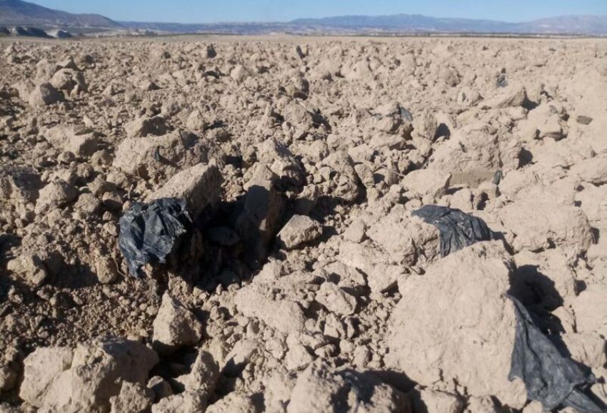 Analizan la relacin de bacterias con residuos plsticos agrcolas y su impacto en el campo