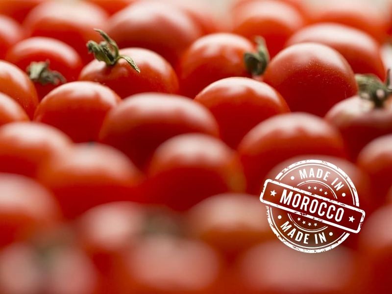 El tomate cherry del Shara se disfraza de marroqu en los supermercados espaoles