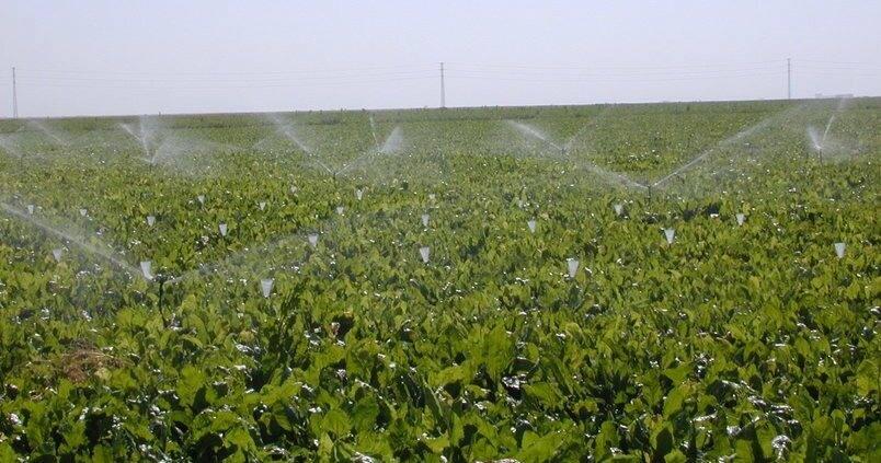 La Junta activa el Plan RegadA con 140 millones para modernizar los regados
