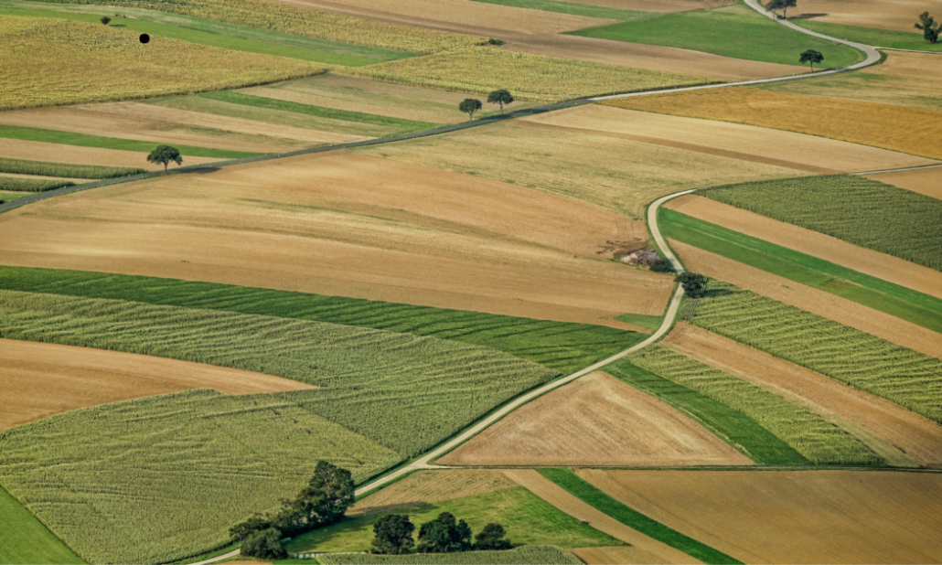 El Gobierno estudia nuevas medidas para garantizar el relevo generacional en el campo