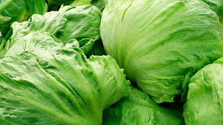 Reino Unido aplaza los controles fitosanitarios a la importacin hortofrutcola