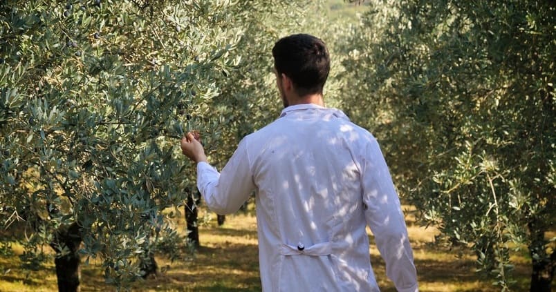 Andaluca lidera el empleo joven en el sector agrario