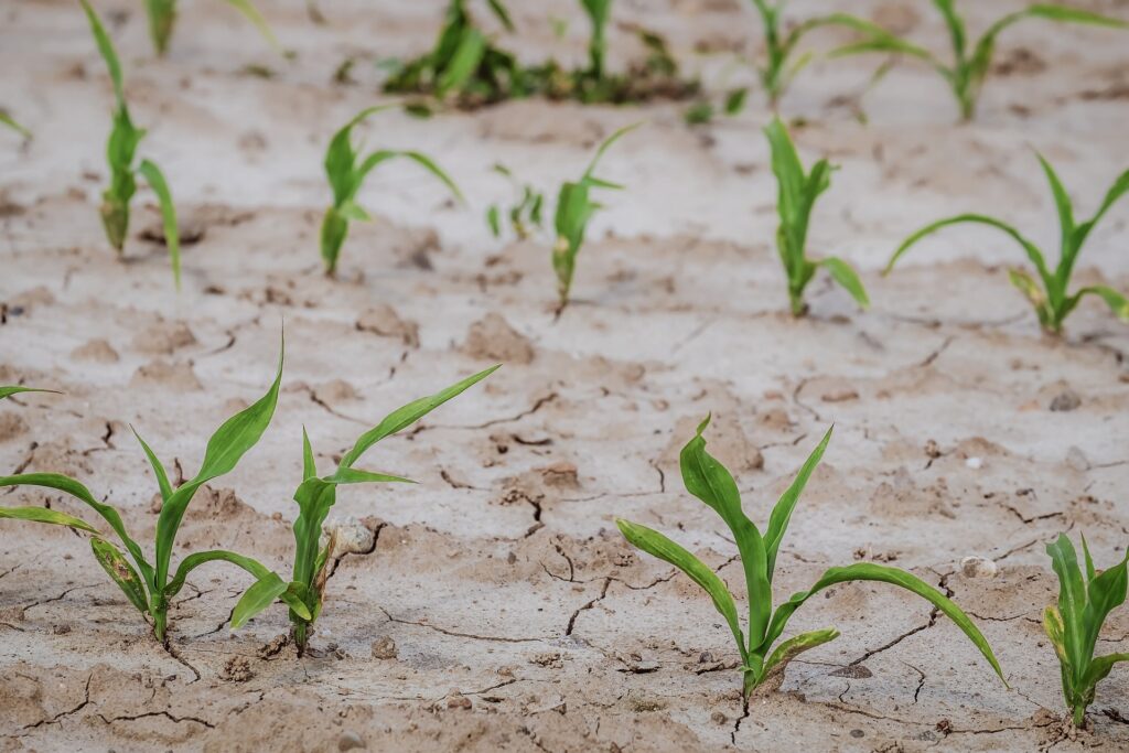 Un canal annimo de denuncias vigilar las malas prcticas agrcolas