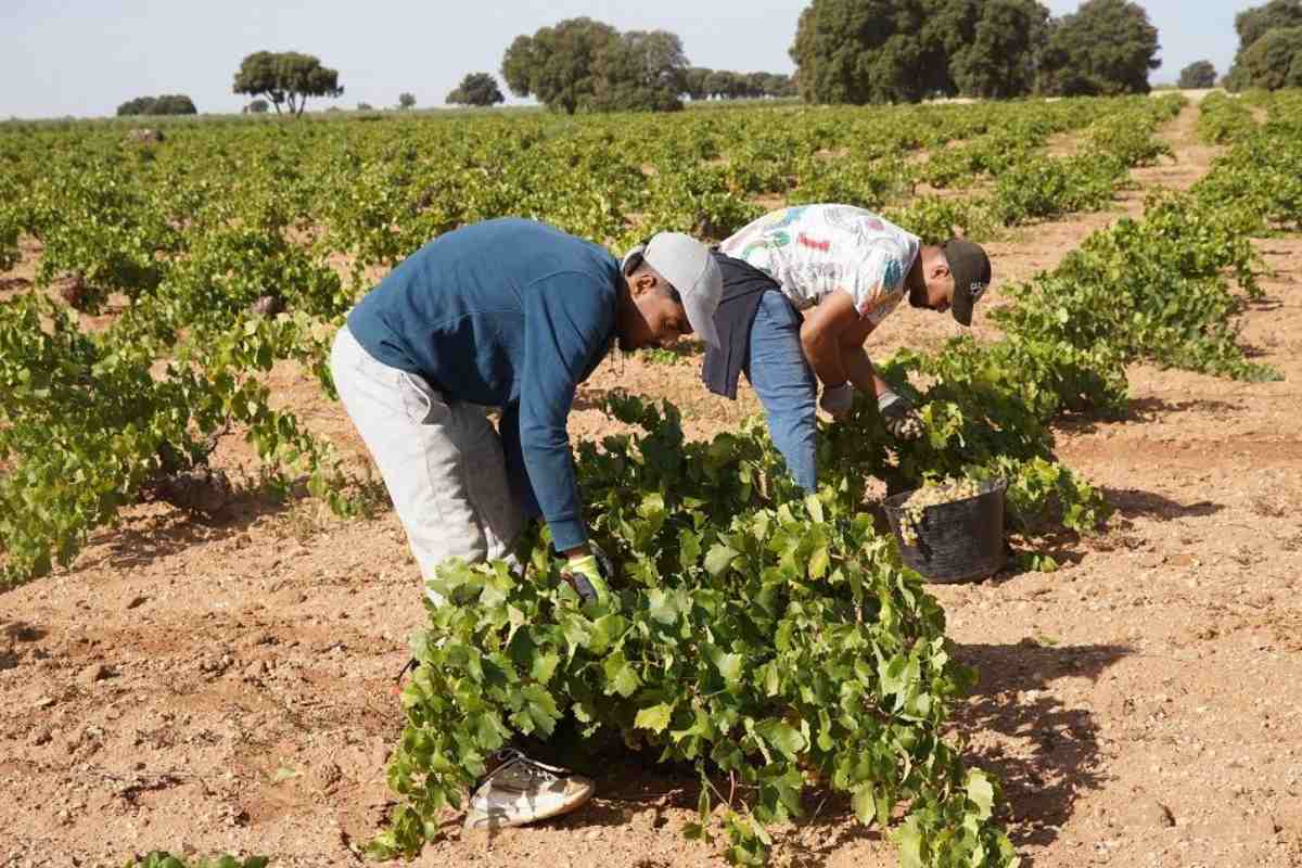 El campo celebra el rechazo del Congreso a la reduccin de jornada laboral