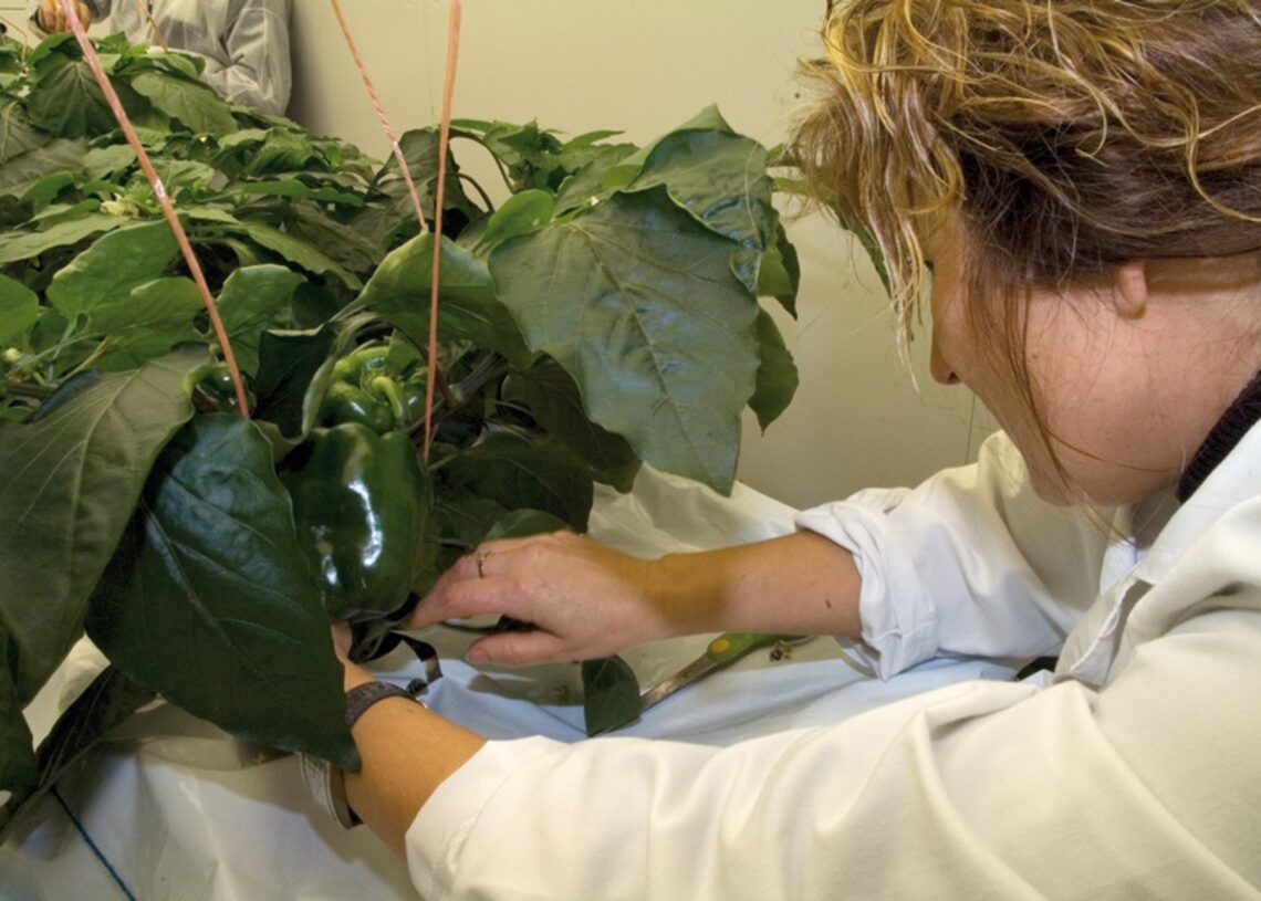 Andaluca impulsa la innovacin agraria con 18 millones en subvenciones