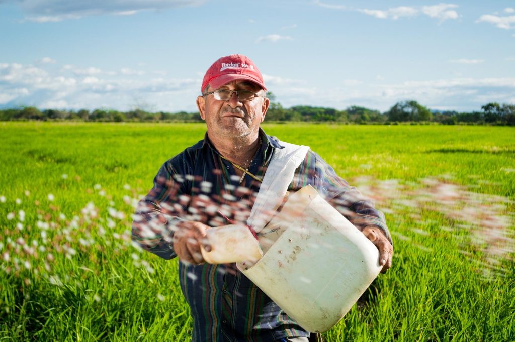 La media de edad de los agricultores espaoles supera los 50 aos