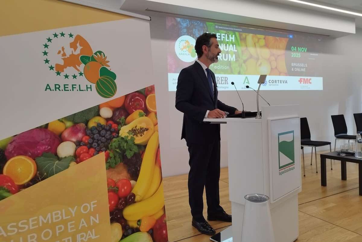 Estas son las propuestas de Andaluca para el sector hortcola de cara a la PAC