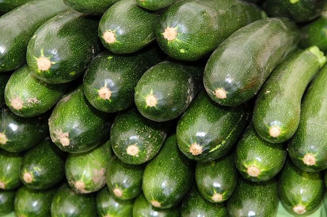 El calabacn verde espaol domina el mercado europeo