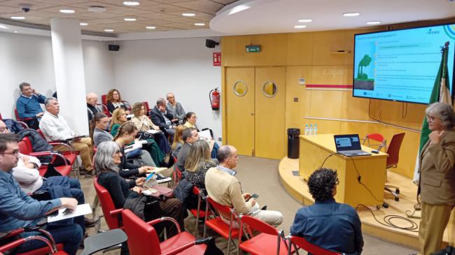 Andaluca destina 44,65 millones de euros a empresas para eficiencia energtica