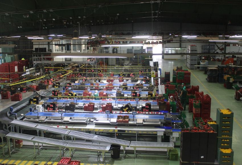 Ayudas para la transformaci�n y comercializaci�n de productos agroalimentarios