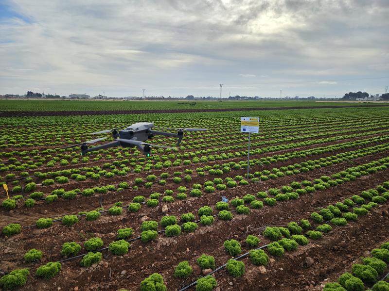 Europa adopta nueva legislaci�n sobre fertilizantes procedentes del esti�rcol