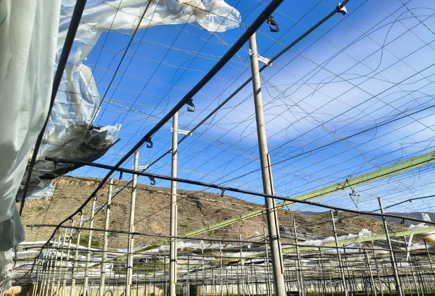 La borrasca Oriana afecta a unas 200 hect�reas de invernadero en El Ejido