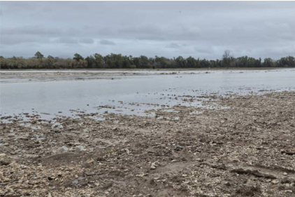 El Gobierno aprueba ayudas para el sector agrario de Andaluc�a y Extremadura tras el temporal