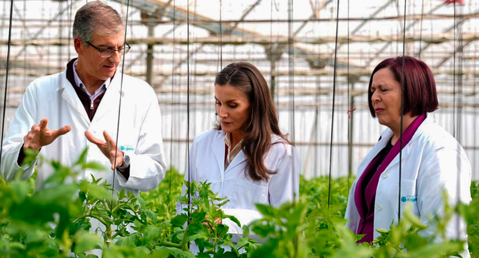 Apoyo de la reina Letizia a la innovaci�n agr�cola en Almer�a