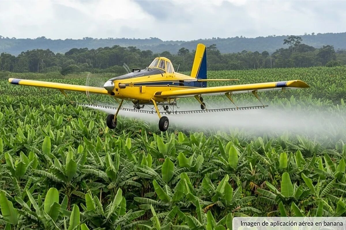Europa redescubre el campo... cuando el agricultor ya est� al l�mite