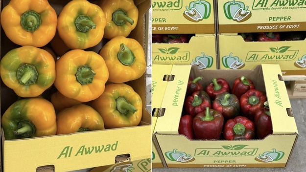 El empuje de Egipto en Europa reaviva el malestar del campo almeriense 