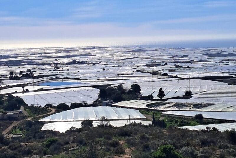 Asaja califica de insuficientes las ayudas del Gobierno al dejar fuera al sector hort�cola almeriense