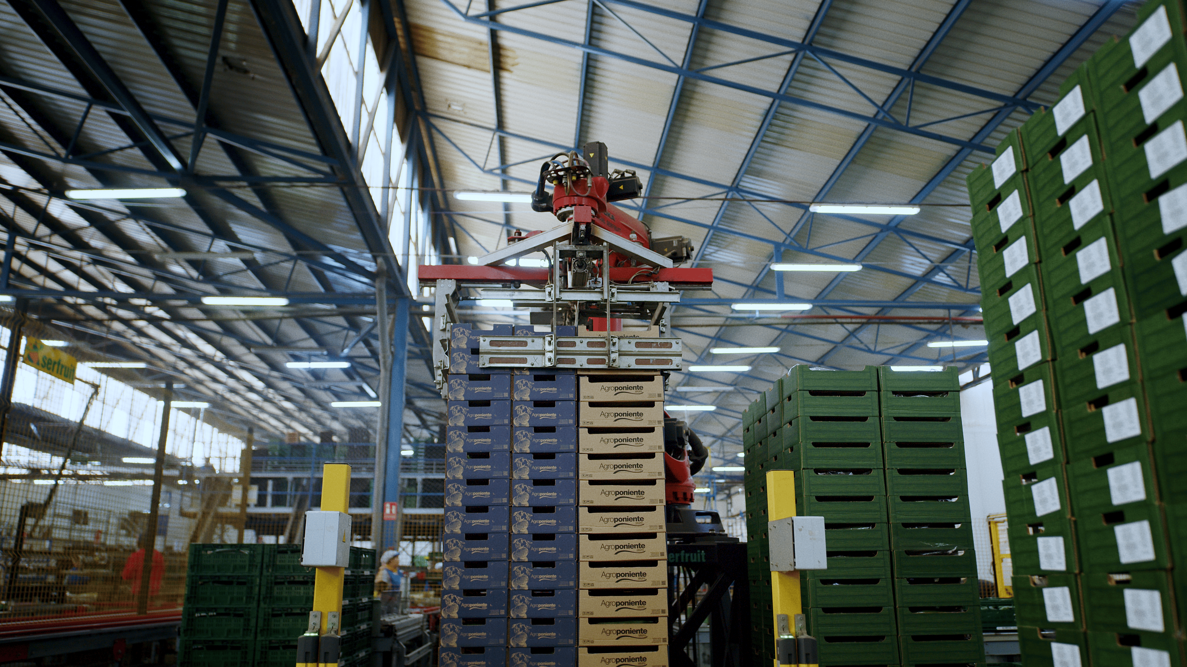 Agroponiente mantiene el crecimiento en valor de su campa�a 