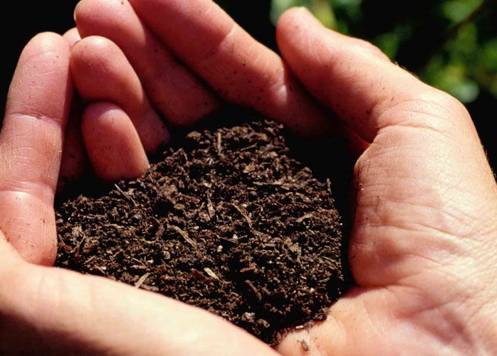 El Consejo Europeo suspende un a�o los aranceles aduaneros sobre ciertos fertilizantes
