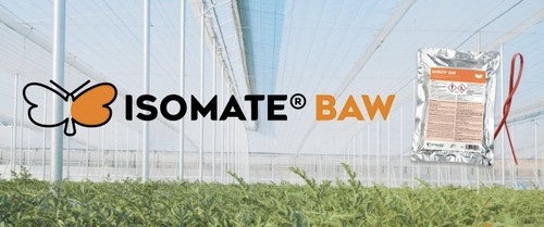 ISOMATE� BAW. Prevenci�n desde el inicio del cultivo