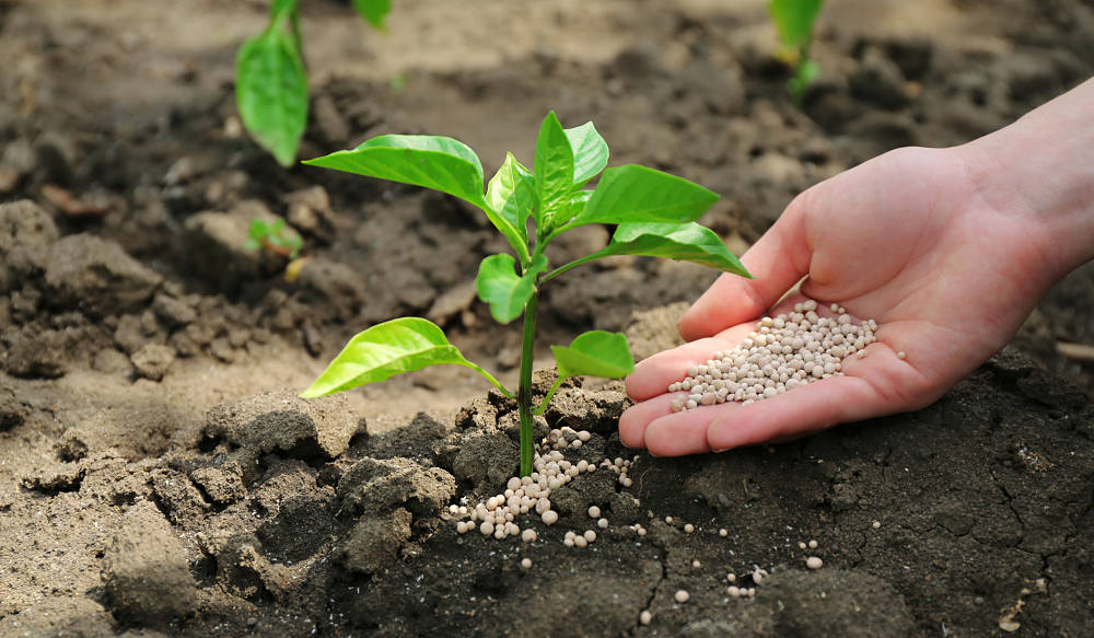 La UE respalda ayudas excepcionales para aliviar el coste de los fertilizantes en el campo