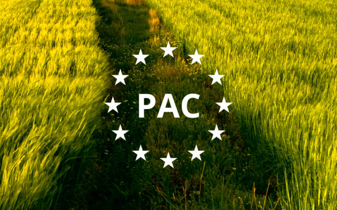 Almer�a recibir� m�s de 14 millones en el anticipo de la PAC 2026