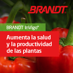 Visit Brandt
