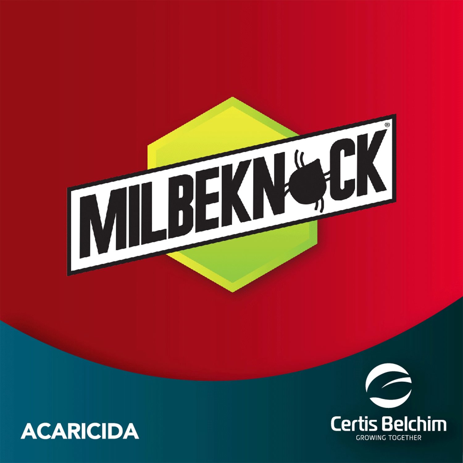 Visit Belchim
