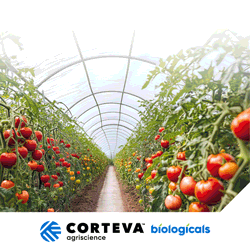 Visit Corteva